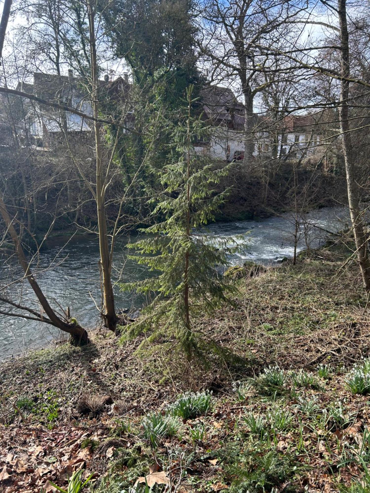 Am Fluss